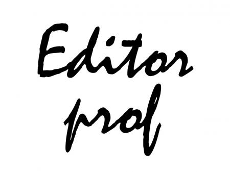 Текстовый редактор "Editor Prof"